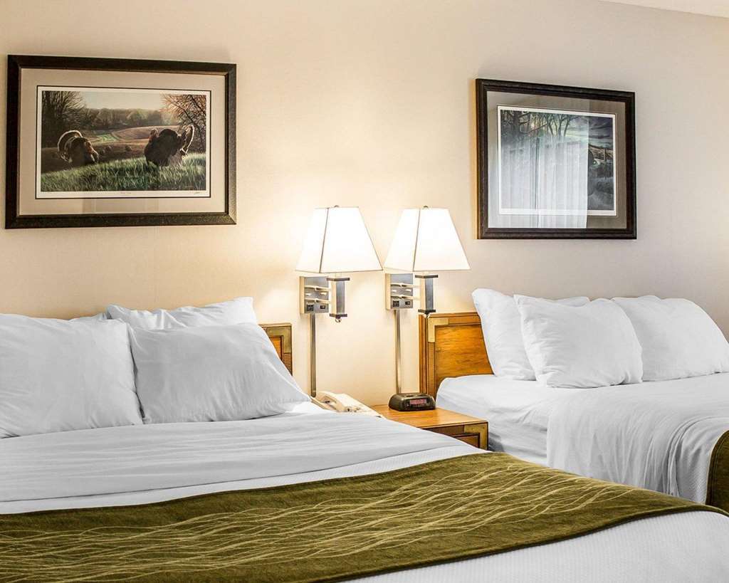 Quality Inn Petoskey-Harbor Springs Habitación foto